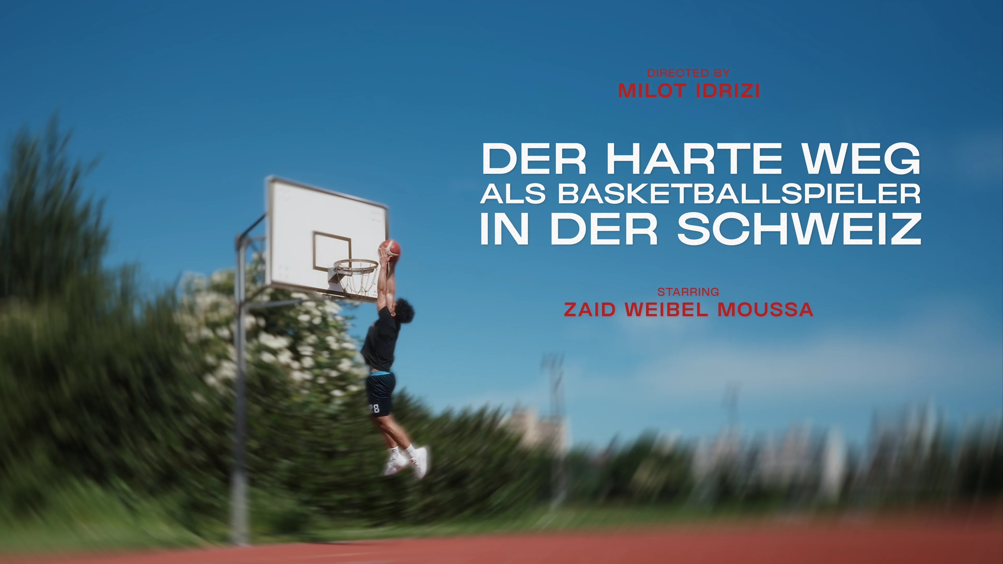 Zaid Weibel Documentary